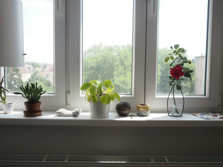 Ferestre albe din PVC cu plante pe pervaz